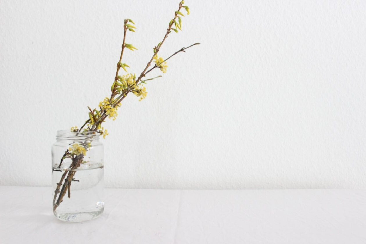 Blüten am Zweig