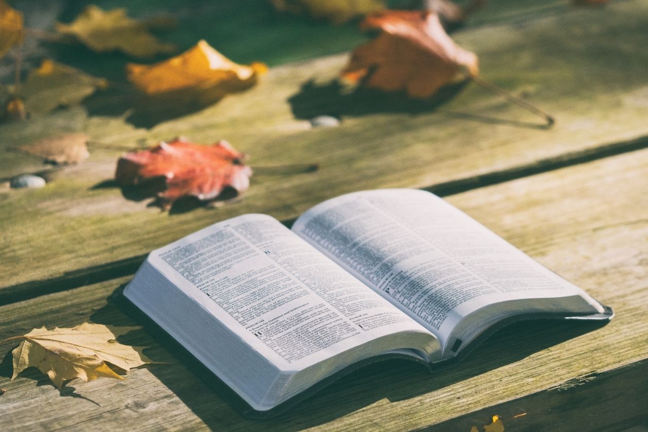 Aufgeschlagenes Buch auf Holzdielen. Im Hintergrund sind herbstliche Blätter zu sehen.