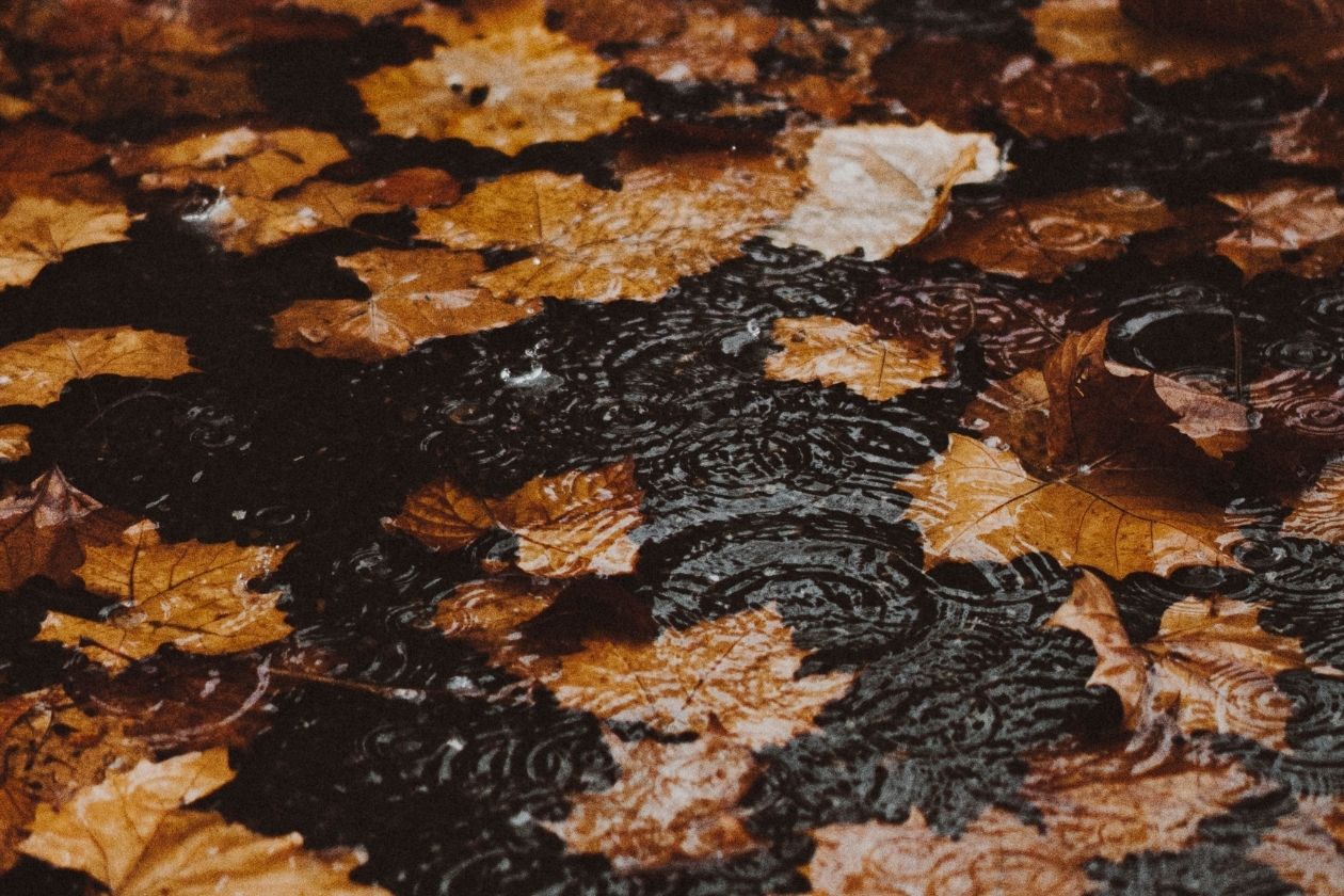 Regen der auf Asphalt fällt und eine Pfütze bildet. Bunte Herbstblätter liegen auf der Straße.