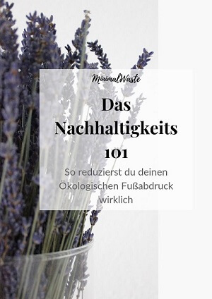 Cover des PDF-Downloads 'Das Nachhaltigkeits 101'
