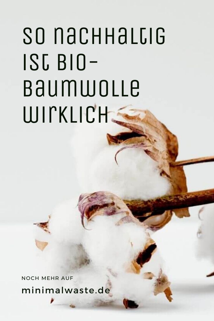 Pinterest Cover zu 'Wie nachhaltig ist Bio-Baumwolle?'