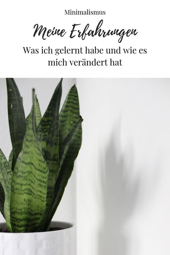 Pinterest Cover zu 'Minimalistisch Leben: Meine Erfahrungen nach 4 Jahren'