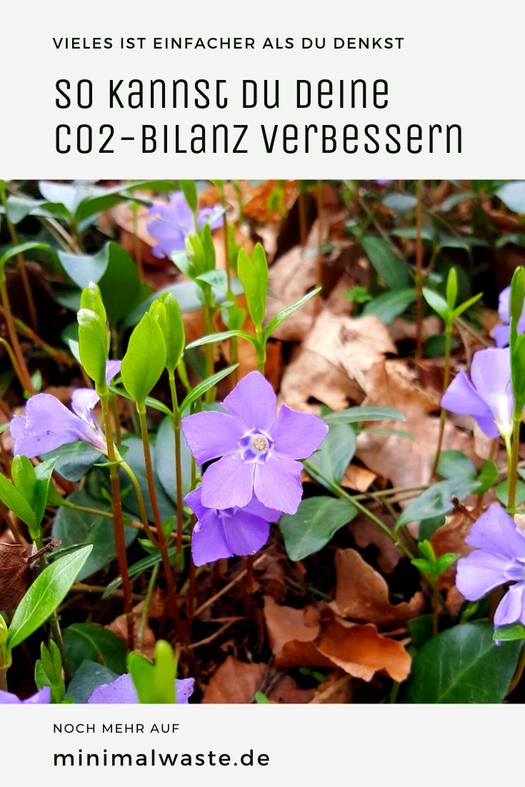 Pinterest Cover zu '10 Dinge, die du für eine bessere CO2-Bilanz tun kannst'