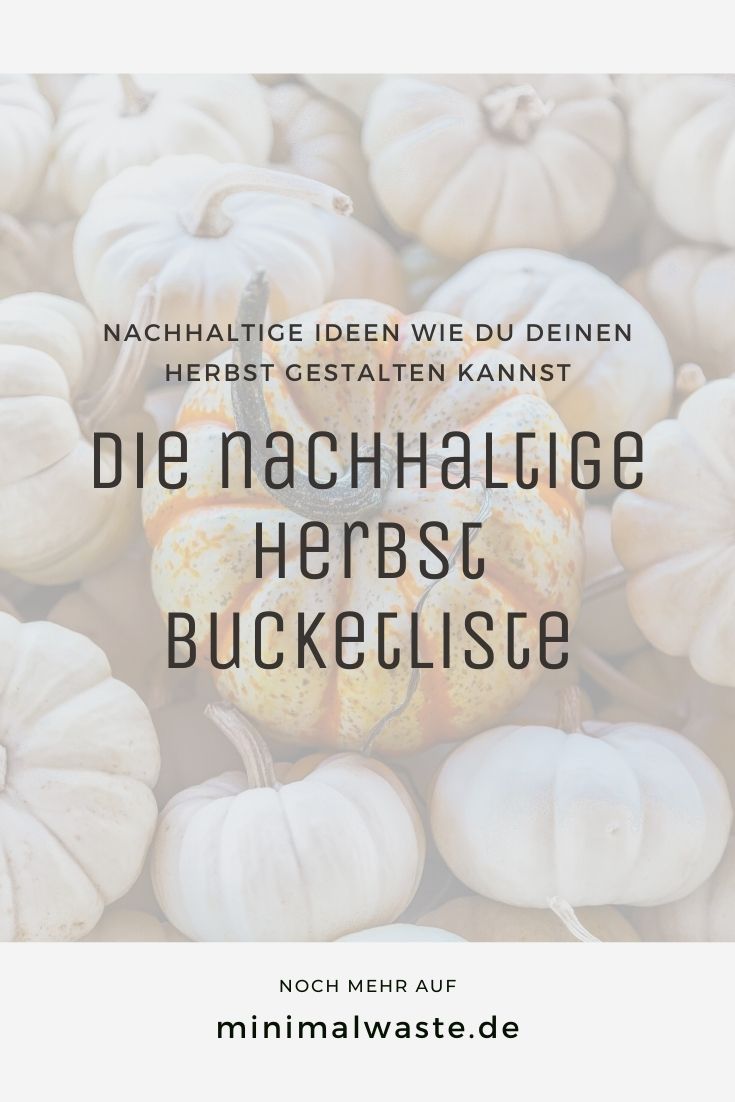 Pinterest Cover zu 'Die nachhaltige Herbst Bucketliste'